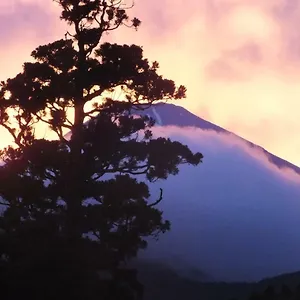 Hananoyado Fukuya האקונה